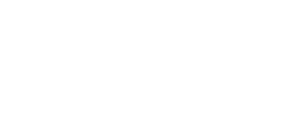 Vera Little House Logo